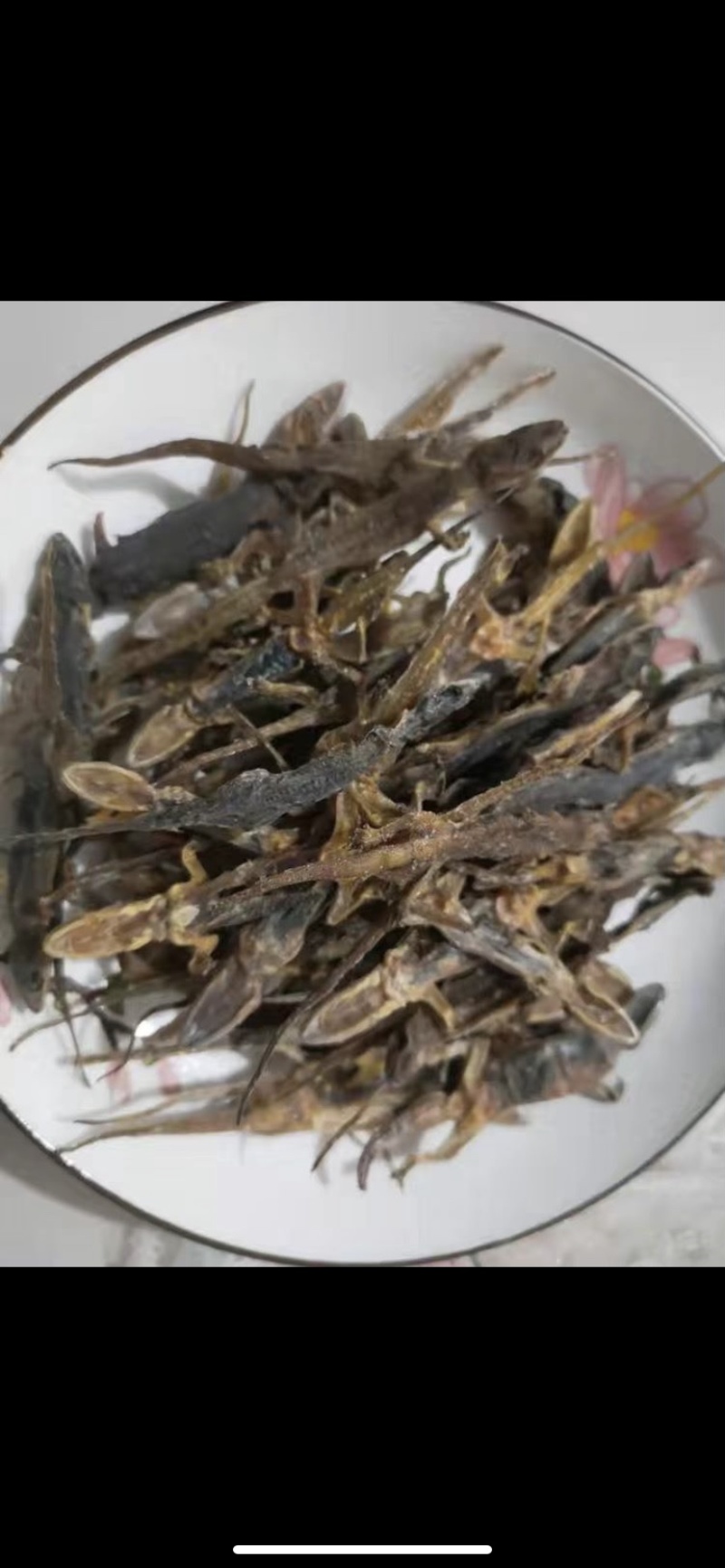 天龙粉壁虎干粉别名守宫壁虎干打粉老客户大客户量大免费打粉