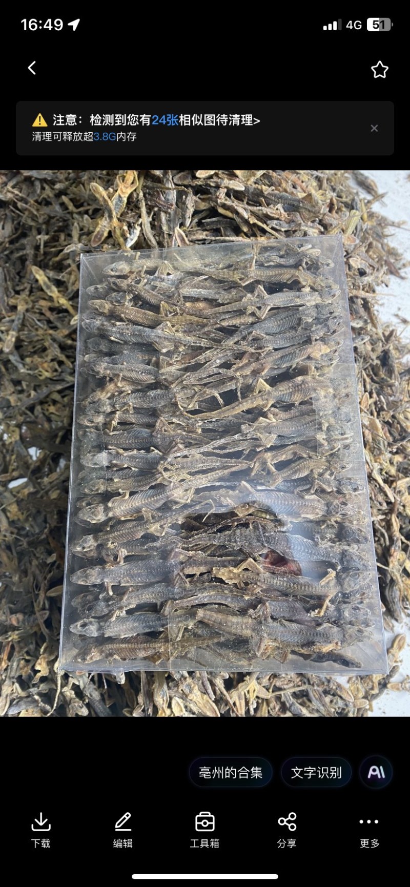 天龙粉壁虎干粉别名守宫壁虎干打粉老客户大客户量大免费打粉