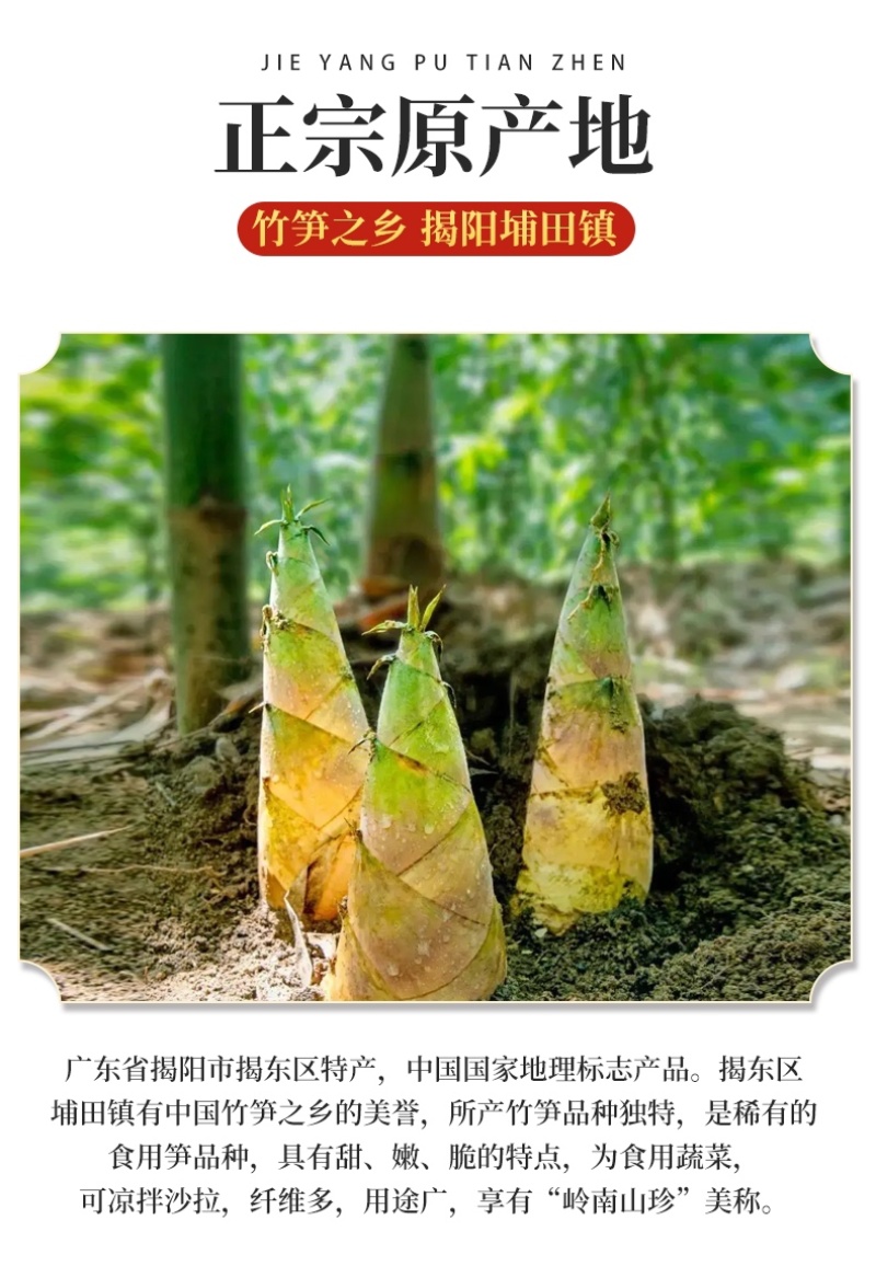 休闲零食剁椒脆笋