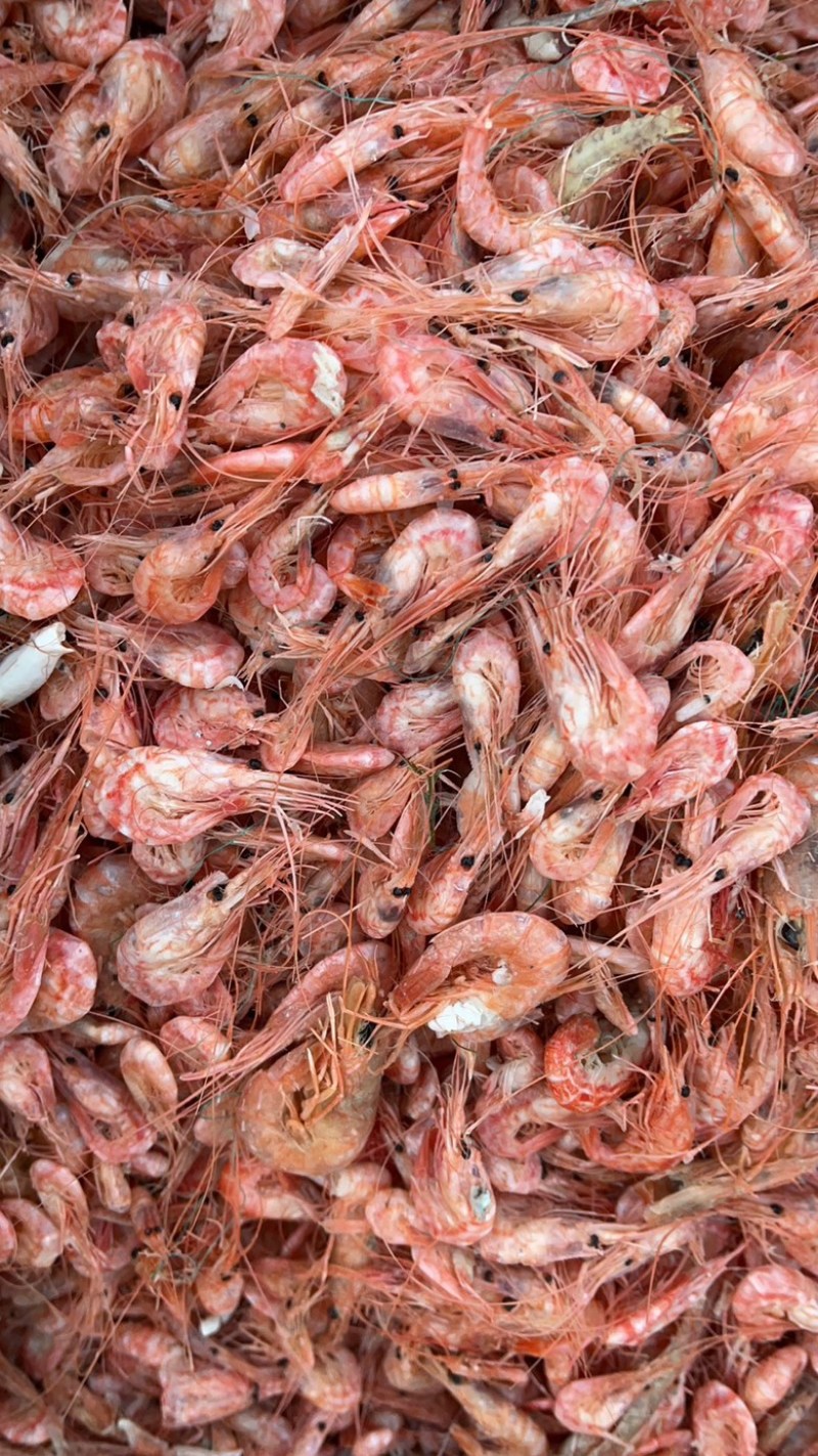 红虾海虾油炸原料大量现货对接团购商超