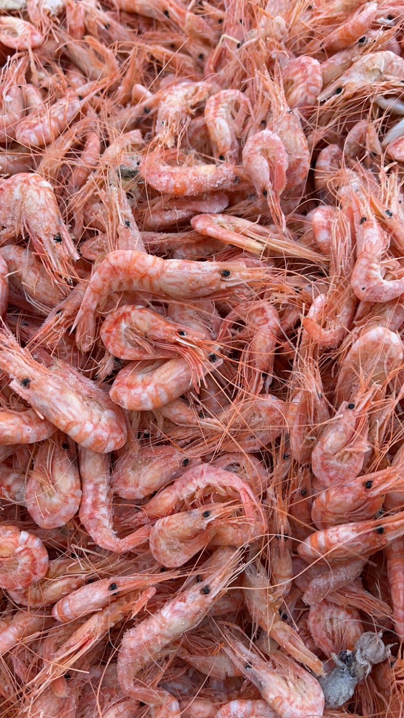 红虾海虾油炸原料大量现货对接团购商超