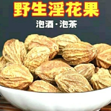 野生淫花果阳鞭果云南野生壮阳果泡水泡茶泡酒包邮