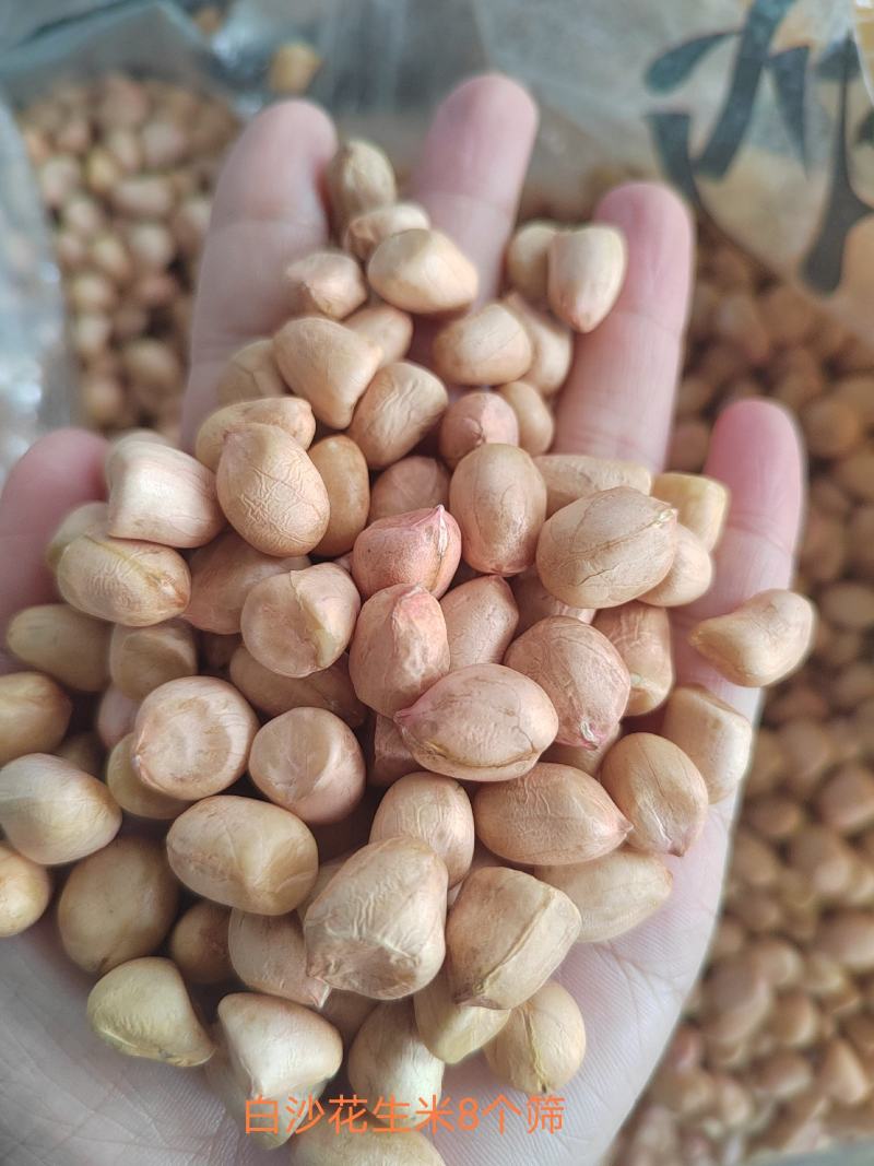 【热卖花生米】白沙系列花生米，规格齐全，来电优惠