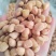 【热卖花生米】白沙系列花生米，规格齐全，来电优惠