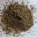 地肤子沫子统批发零售品种齐全量大从优现货供应