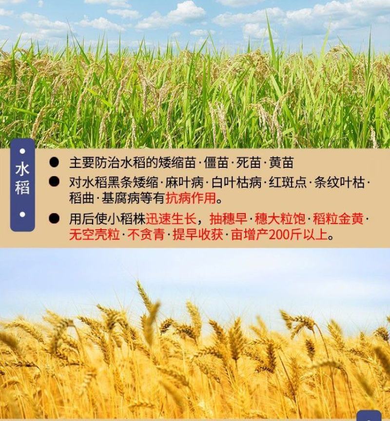 长丰金娃娃氨基酸叶面肥果树蔬菜西瓜玉米营养液促生长