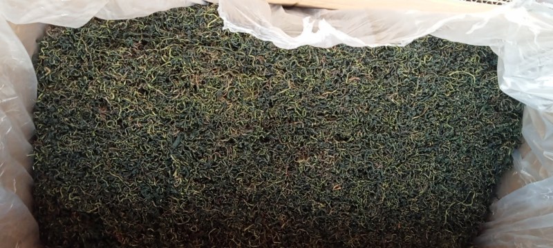 蒲公英茶叶，大量有货欢迎电话联系沟通洽谈合作
