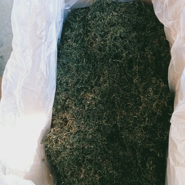 蒲公英茶叶，大量有货欢迎电话联系沟通洽谈合作