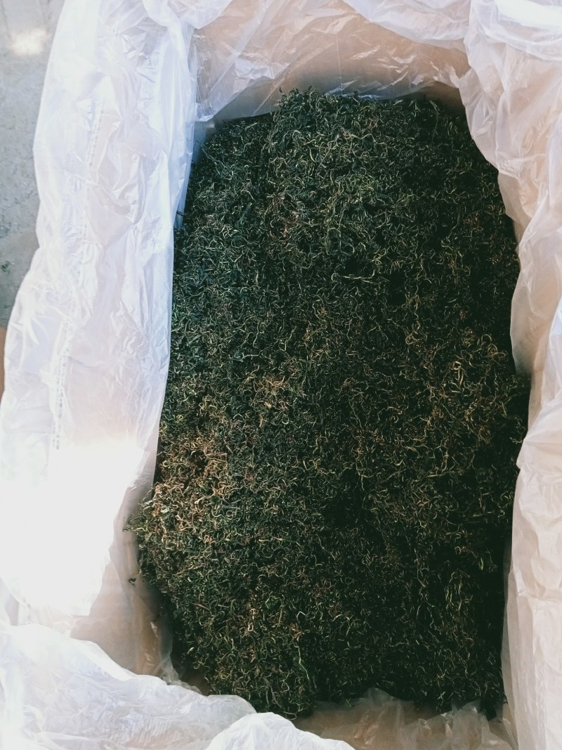 蒲公英茶叶，大量有货欢迎电话联系沟通洽谈合作