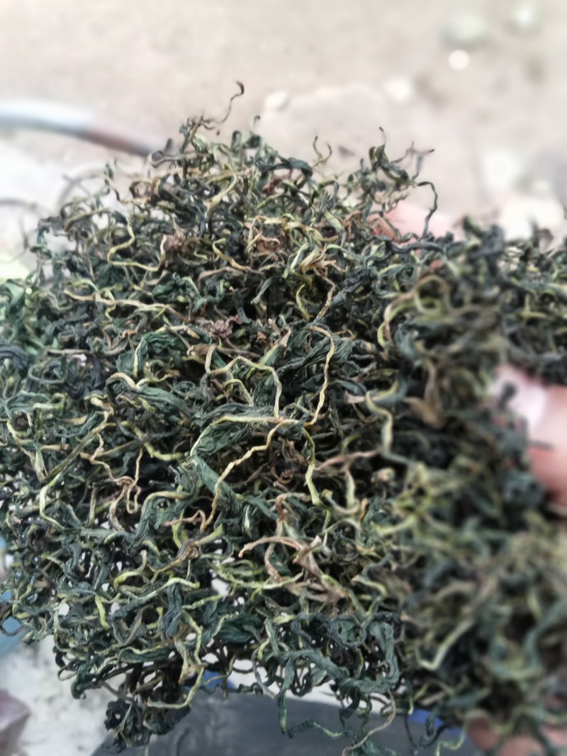 蒲公英茶叶，大量有货欢迎电话联系沟通洽谈合作
