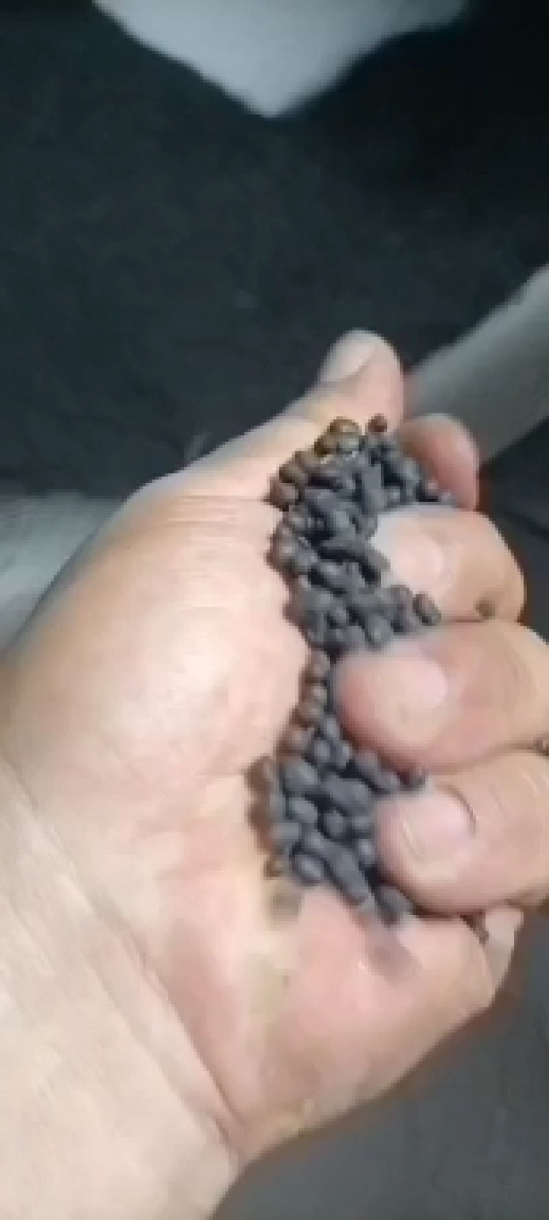 复合微生物菌肥，疏松土壤抗盐碱性抗病抗旱抗逆增加产量