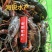 海锐水产专注于正宗潜江清水小龙虾品质保证值得信赖！
