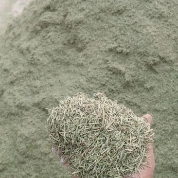 迷迭香，迷迭香干叶，迷迭香茶，小叶迷迭香，需要的可以电话