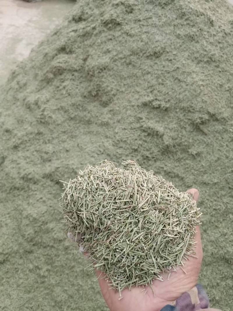迷迭香，迷迭香干叶，迷迭香茶，小叶迷迭香，需要的可以电话