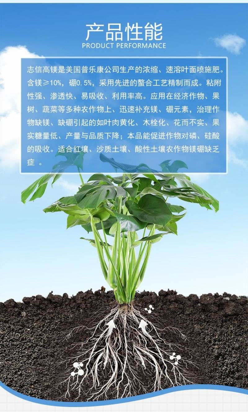 志信高镁中量元素水溶肥料叶面肥花卉果树蔬菜园艺镁肥