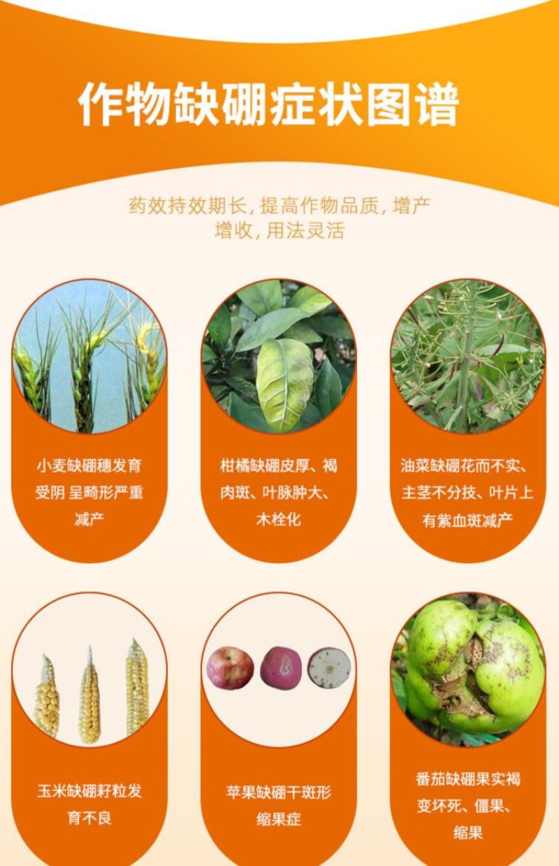 志信高硼促进花芽分化保花保果提高授粉蔬菜果树叶面肥