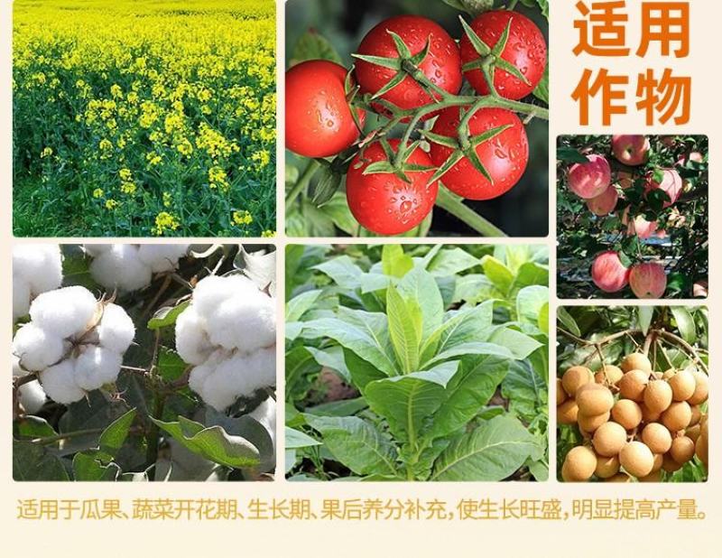 志信高硼促进花芽分化保花保果提高授粉蔬菜果树叶面肥