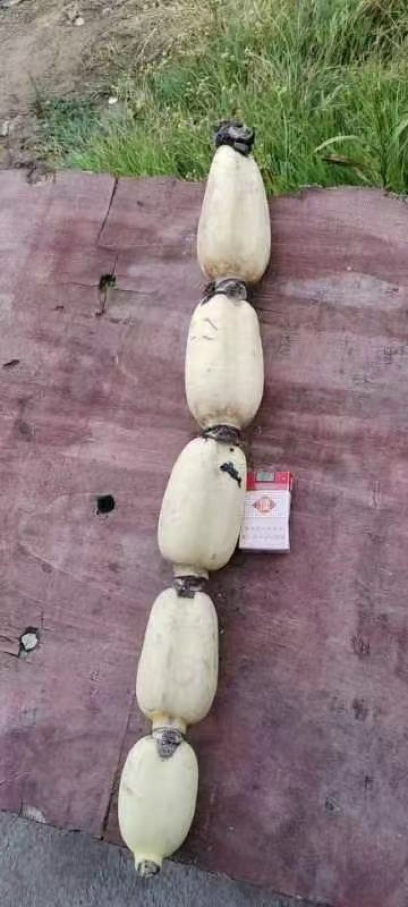 来哦，，新鲜，，莲藕，哦，有需要的可以联系我哦，，