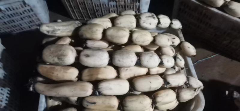 来哦，，新鲜，，莲藕，哦，有需要的可以联系我哦，，