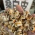 桑白皮野生无硫中药材桑根皮正品天然纯非特级老桑皮白桑皮