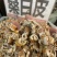 桑白皮野生无硫中药材桑根皮正品天然纯非特级老桑皮白桑皮