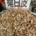 桑白皮野生无硫中药材桑根皮正品天然纯非特级老桑皮白桑皮