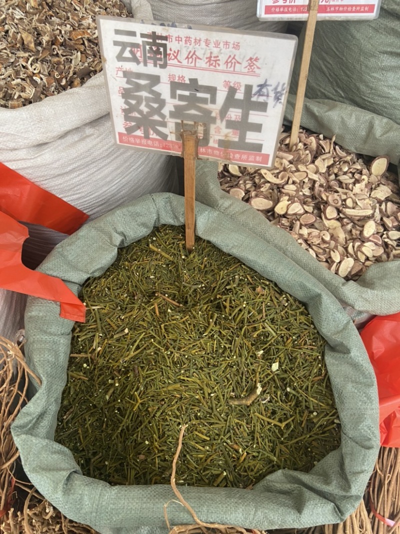 云南野生中药材桑寄生绿寄生深山野寄生寄生茶新鲜干货