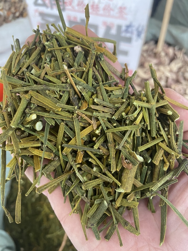 云南野生中药材桑寄生绿寄生深山野寄生寄生茶新鲜干货