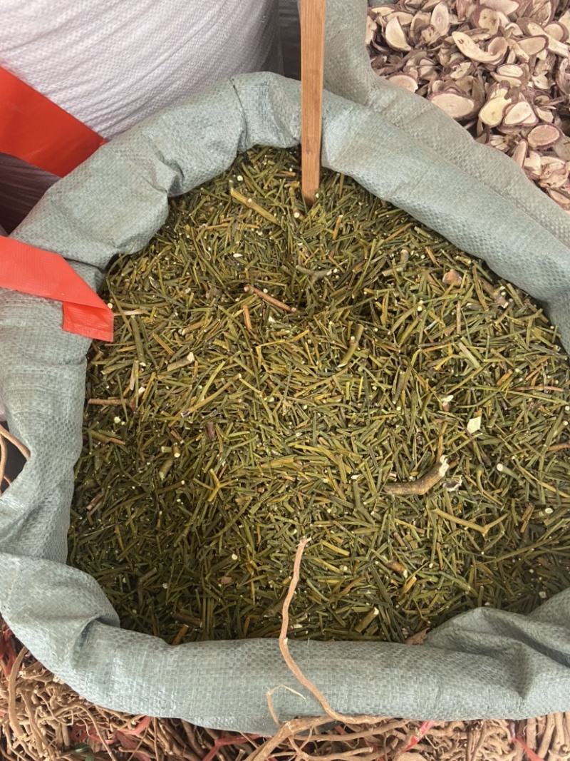 云南野生中药材桑寄生绿寄生深山野寄生寄生茶新鲜干货