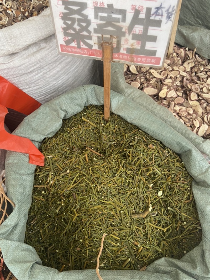 云南野生中药材桑寄生绿寄生深山野寄生寄生茶新鲜干货