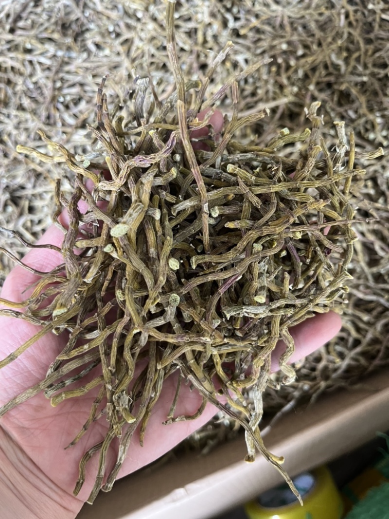 石斛条干条铁皮石斛条铁皮石斛胶质好胶质好