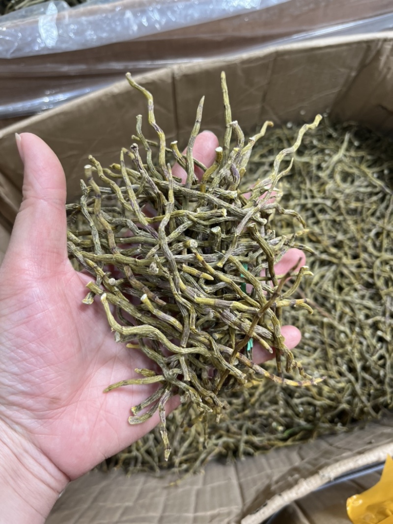 石斛条干条铁皮石斛条铁皮石斛胶质好胶质好