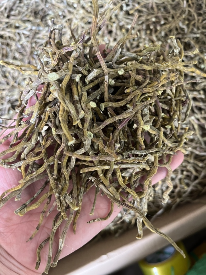 石斛条干条铁皮石斛条铁皮石斛胶质好胶质好