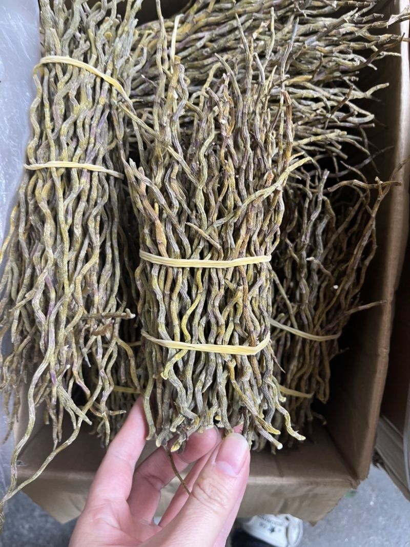 石斛条干条铁皮石斛条铁皮石斛胶质好胶质好