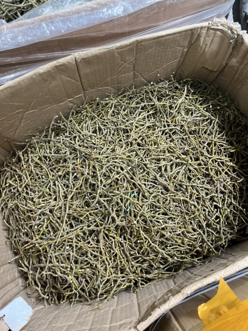 石斛条干条铁皮石斛条铁皮石斛胶质好胶质好