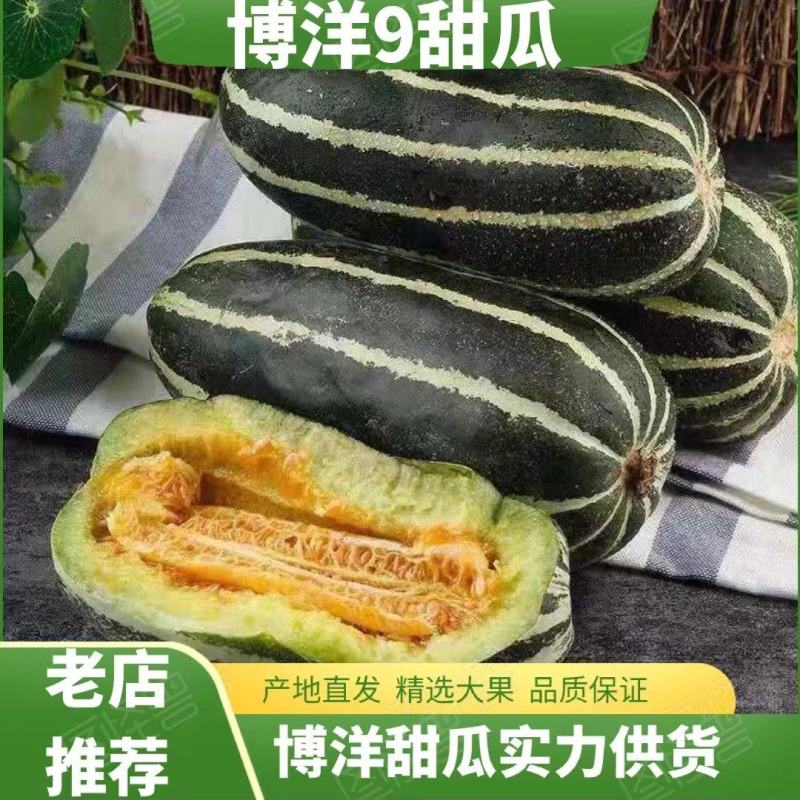 博洋九【原产地】电商货，市场货，超市货，货源充足一手货源