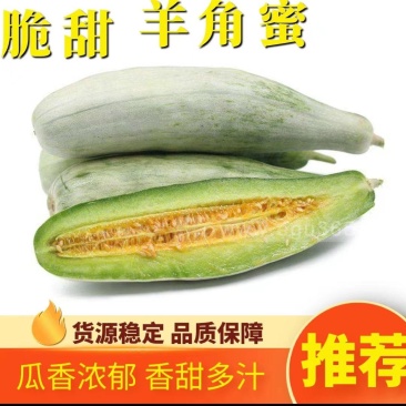 羊角蜜【原产地】电商货，市场货，超市货大量现货，大量接单