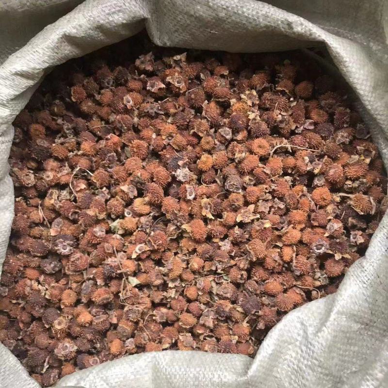 刺梨大货产新需要的联系