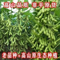 2023现摘新鲜蔬菜毛豆带壳毛豆新鲜青豆农村鲜嫩毛豆角