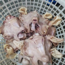 全熟无骨白头