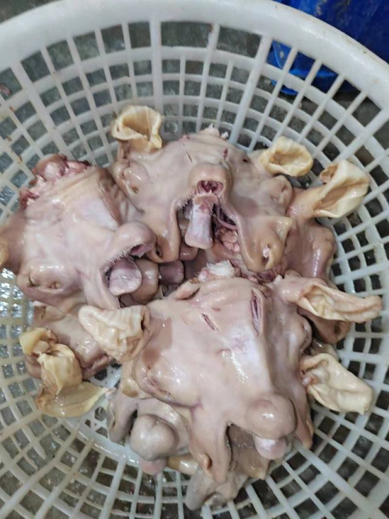 全熟无骨白头