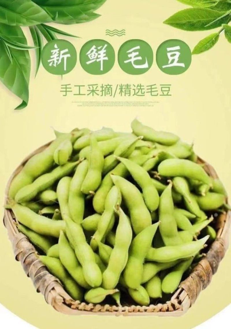 2023现摘新鲜蔬菜毛豆带壳毛豆新鲜青豆农村鲜嫩毛豆角