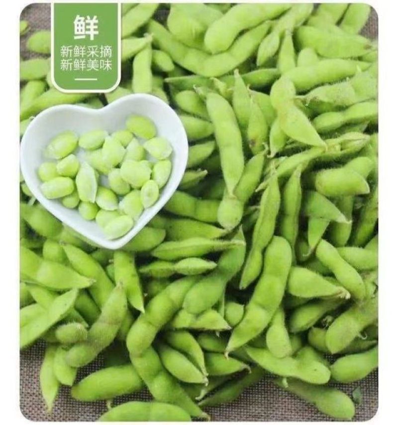 2023现摘新鲜蔬菜毛豆带壳毛豆新鲜青豆农村鲜嫩毛豆角