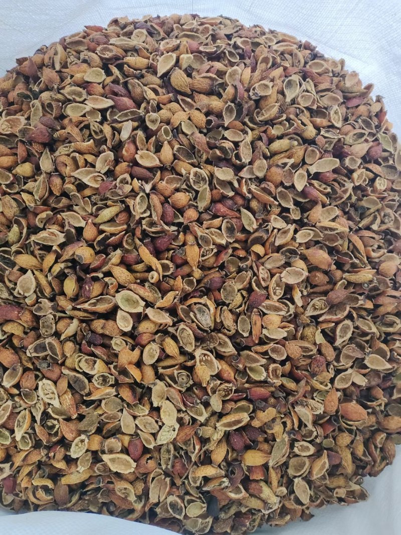 批发金樱子肉广西金樱子肉熟果泡酒金樱子