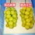 阳光十三葡萄苗（天香玫瑰)粒大香甜，保纯保活，基地直发
