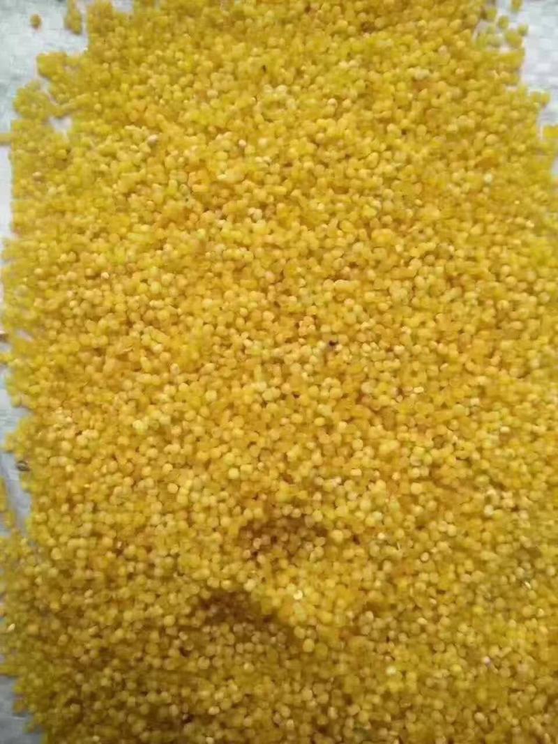 好小米，直接加工厂