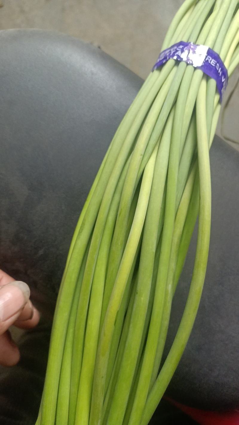 鲜蒜薹红帽蒜薹