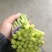 鲜蒜薹红帽蒜薹