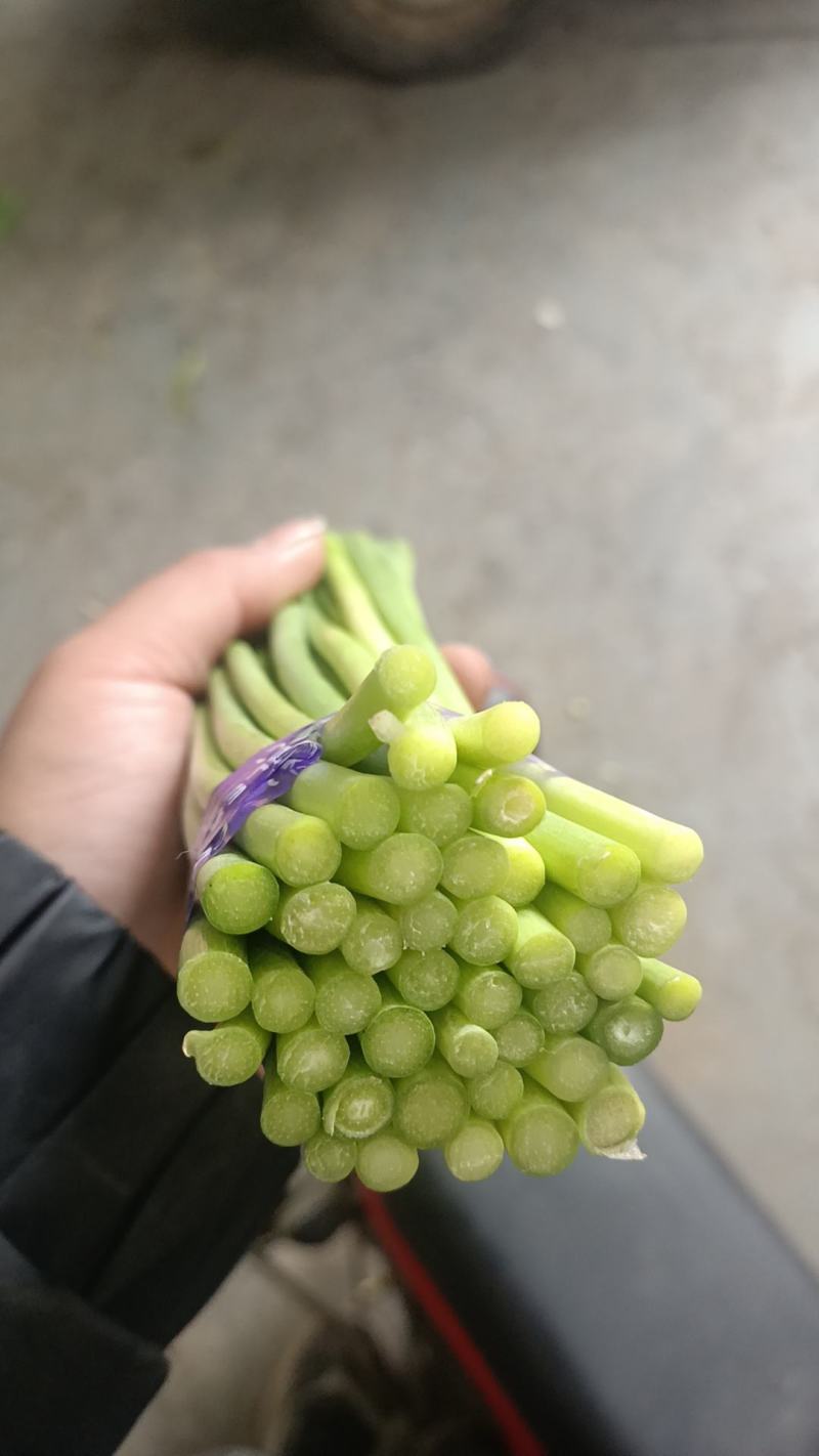 鲜蒜薹红帽蒜薹