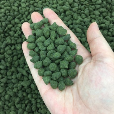 台湾人参乌龙茶甘甜兰贵人500g包邮